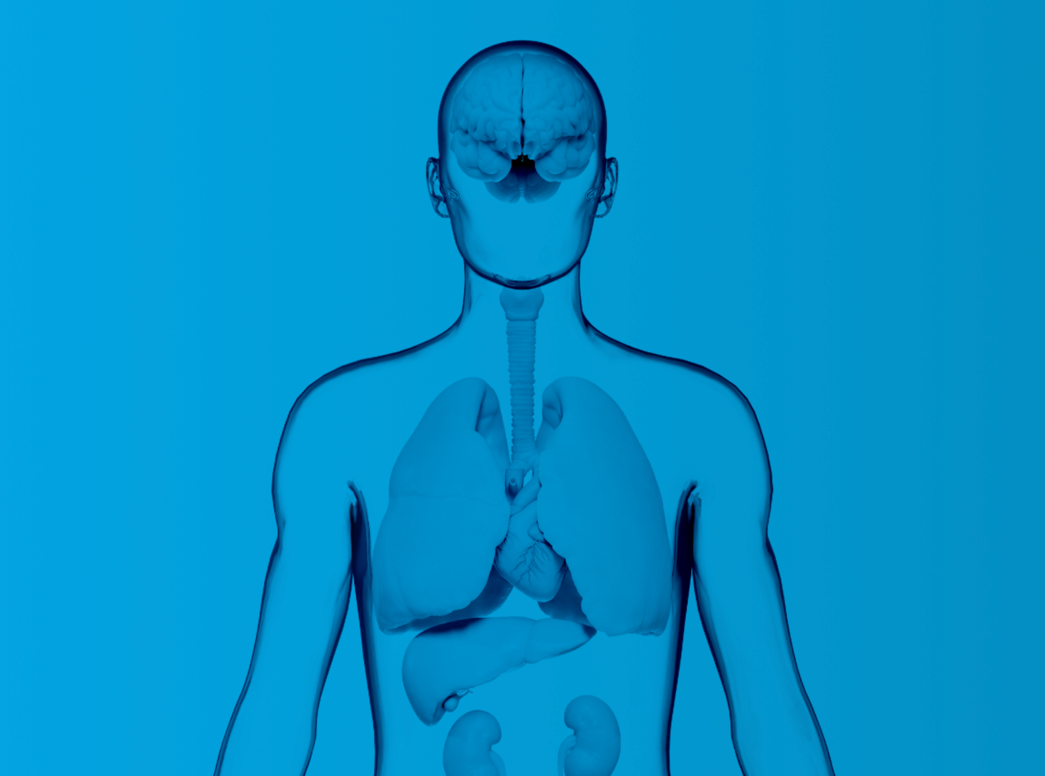 Blue anatomical figure showing the brain and internal organs